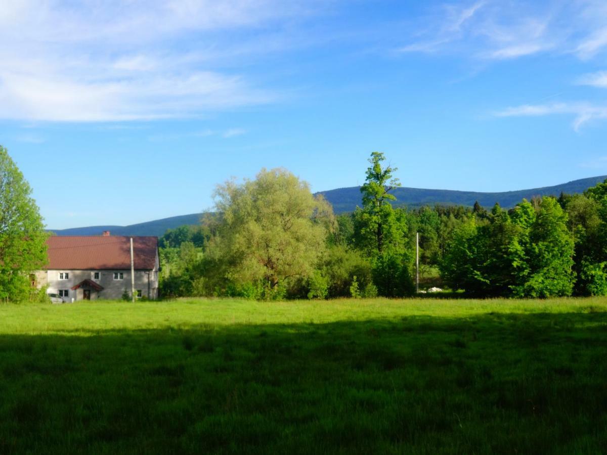 Pokoje Goscinne Przy Lesie Pobiedna Exteriér fotografie