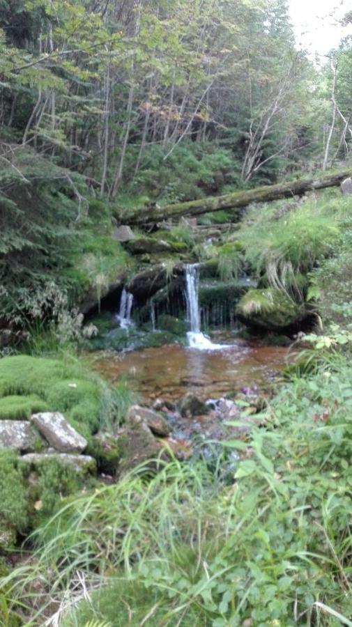 Pokoje Goscinne Przy Lesie Pobiedna Exteriér fotografie